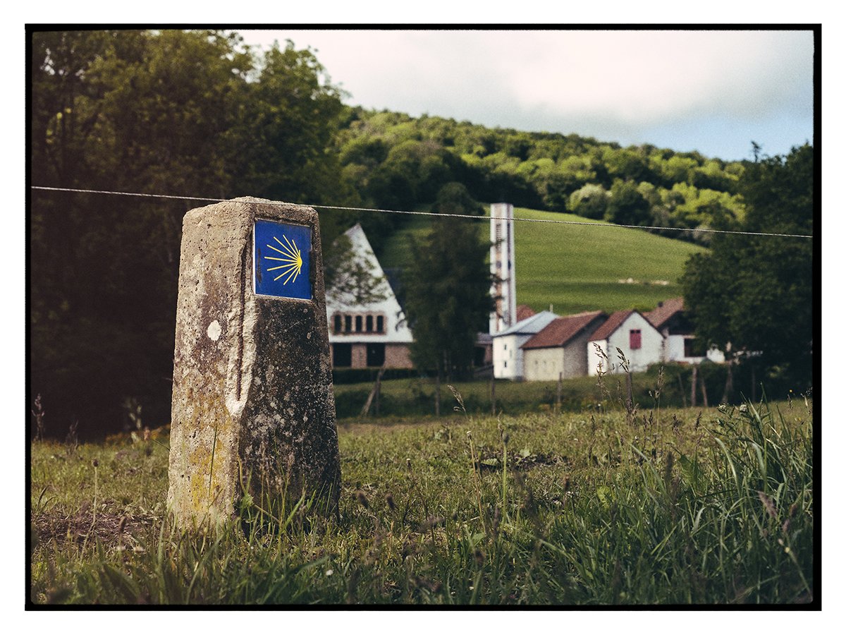 Navarra, Spain on the Camino Frances | Image: Nicholas Hall/MADE Journal